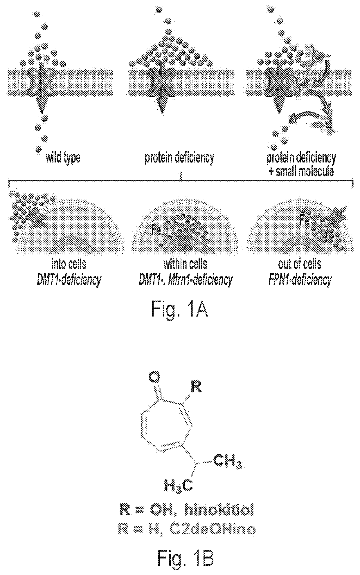 Hinokitiol analogues, methods of preparing and pharmaceutical compositions thereof