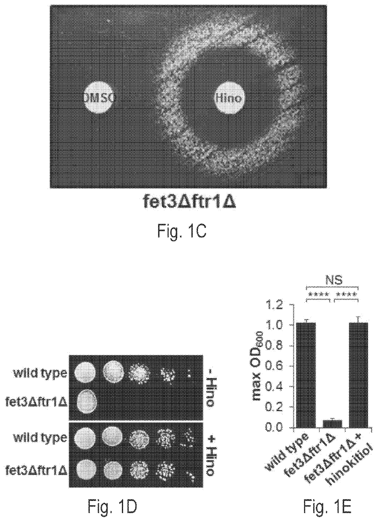 Hinokitiol analogues, methods of preparing and pharmaceutical compositions thereof