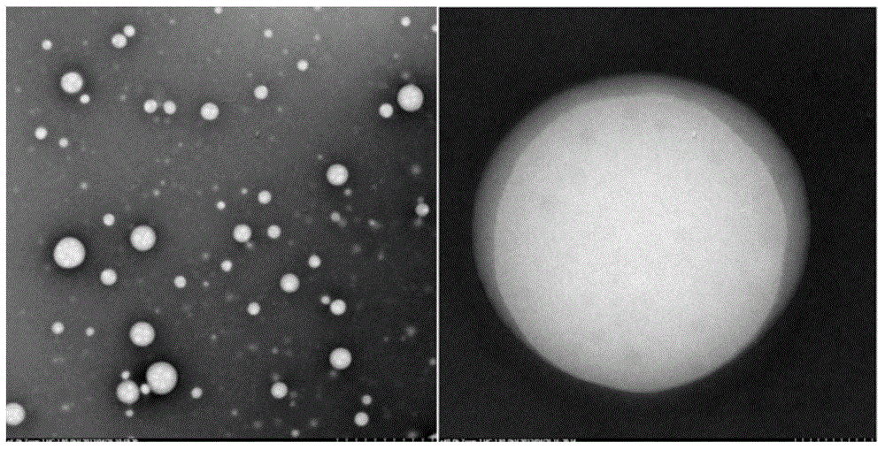 Fatty-acid-binding alhumin-drug nanoparticle lyophilized preparation and preparation method thereof