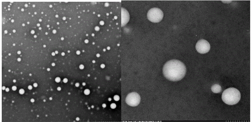 Fatty-acid-binding alhumin-drug nanoparticle lyophilized preparation and preparation method thereof