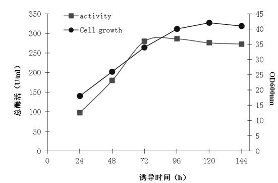 Gene for coding catalase as well as preparation method and application thereof