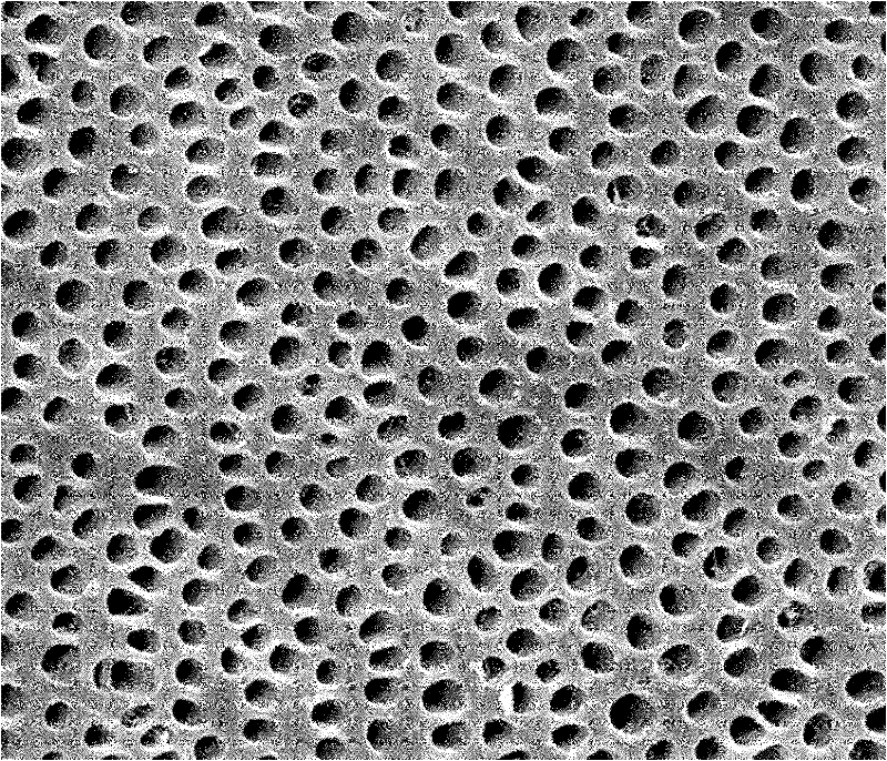 Dentin surface bionic hydroxyapatite coating preparation method