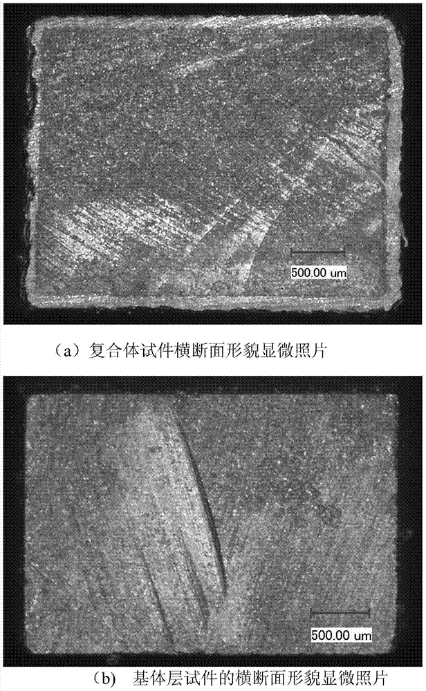 A test method for testing coating density