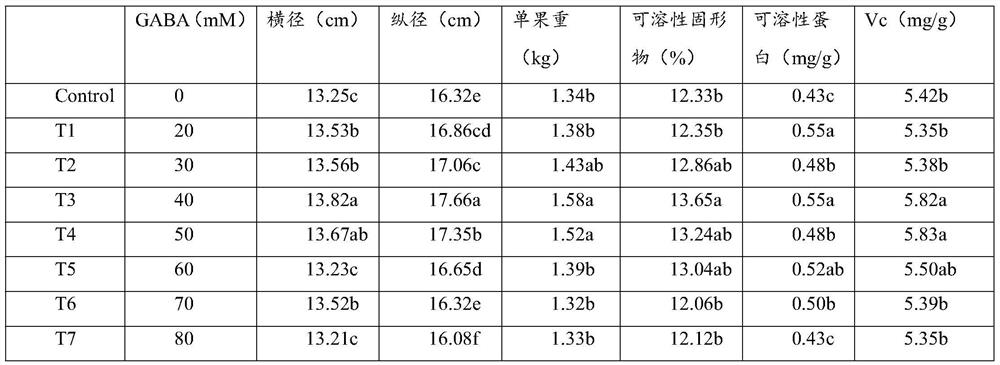 Composition for improving watermelon fruit quality and application thereof