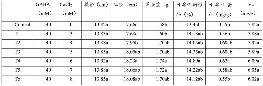 Composition for improving watermelon fruit quality and application thereof