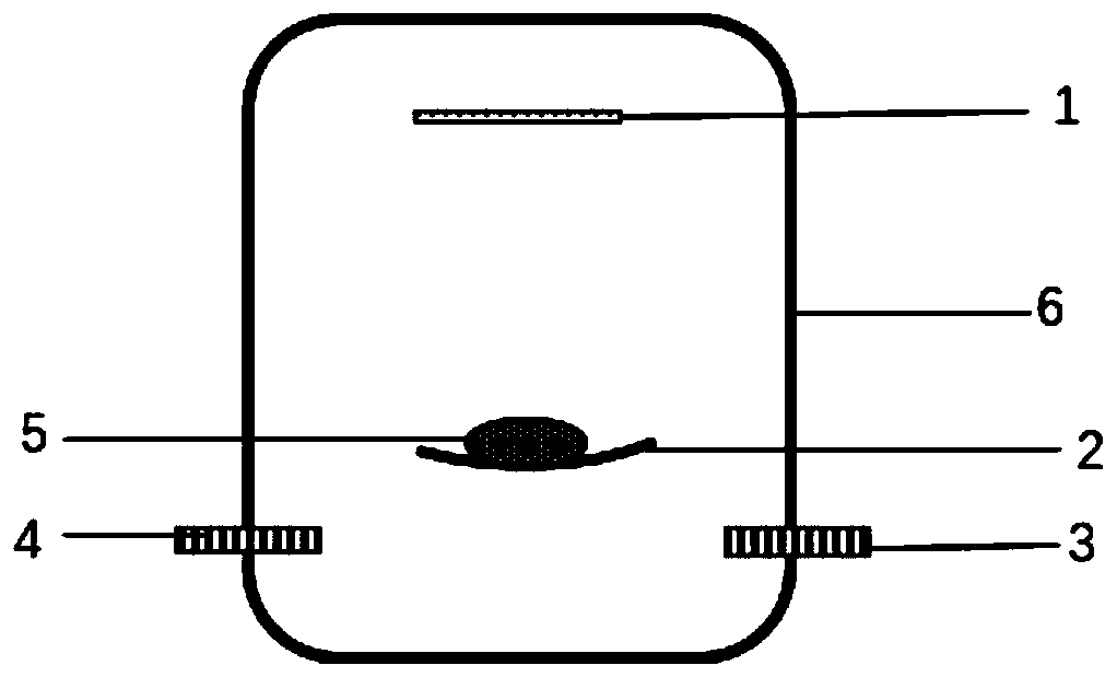 Flexible sensor and preparation method thereof