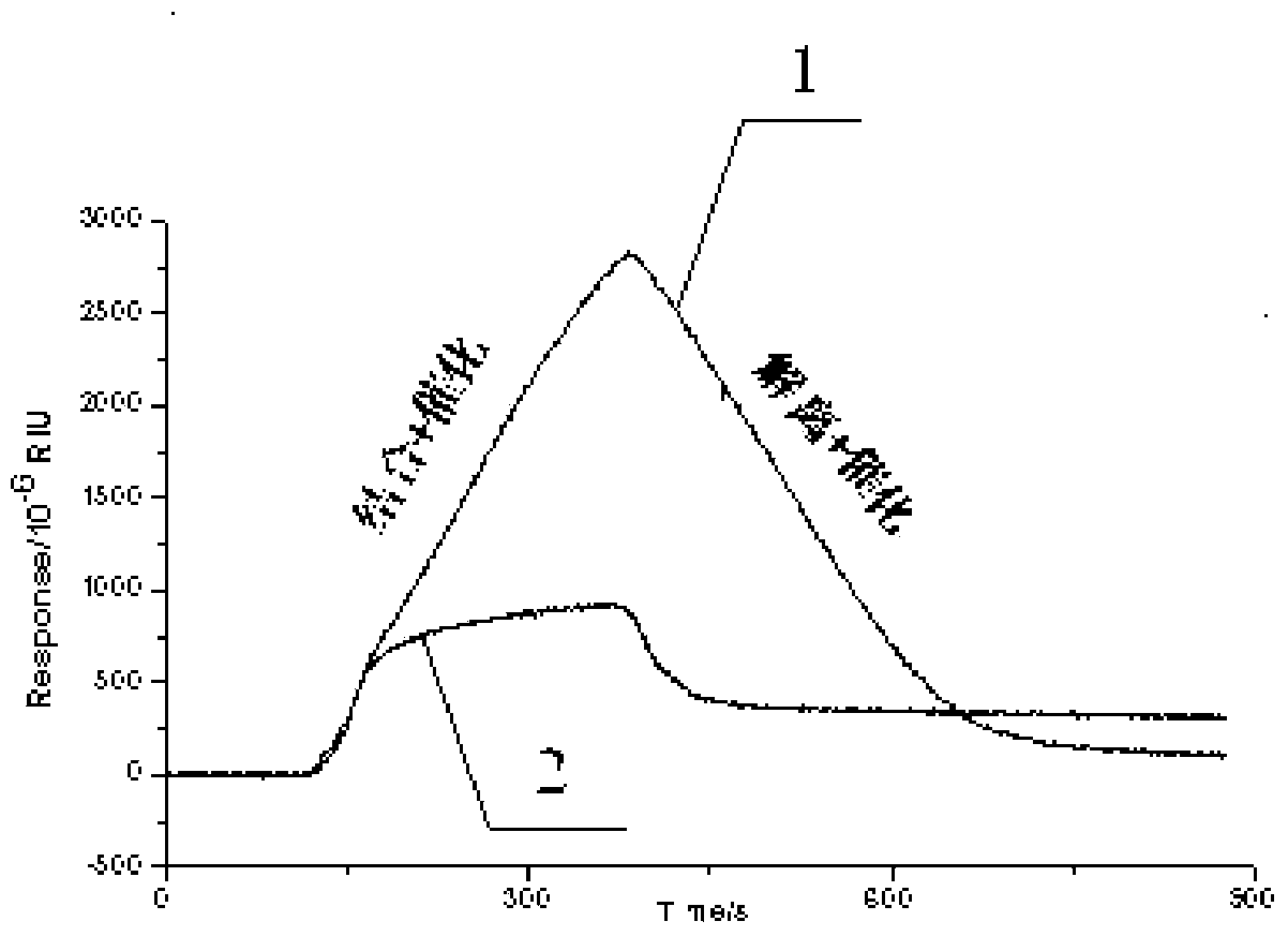 Function of surfactant, and signal amplification method for SPR (Surface Plasma Resonance) detection on low molecular weight substances