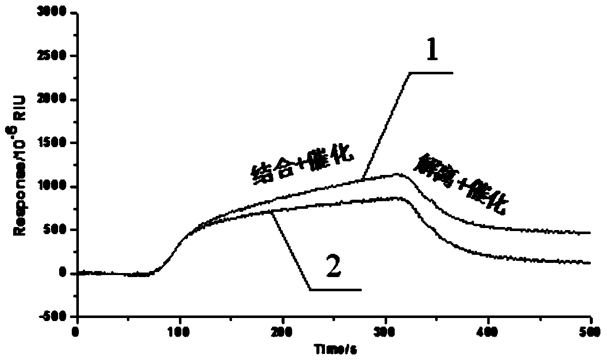 Function of surfactant, and signal amplification method for SPR (Surface Plasma Resonance) detection on low molecular weight substances