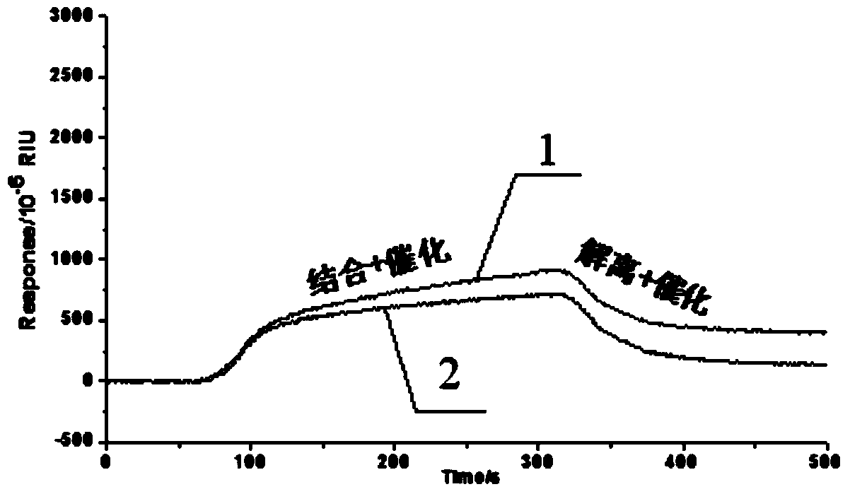 Function of surfactant, and signal amplification method for SPR (Surface Plasma Resonance) detection on low molecular weight substances