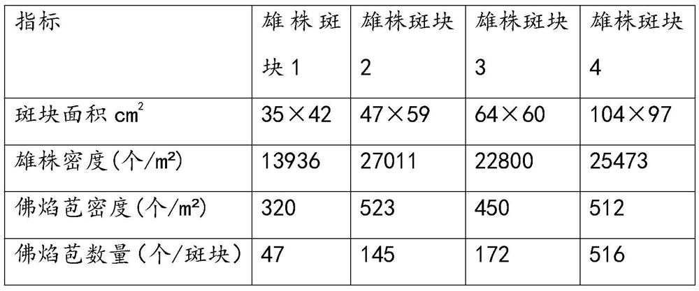 A kind of field effective harvesting method of red fiber shrimp seaweed fruit