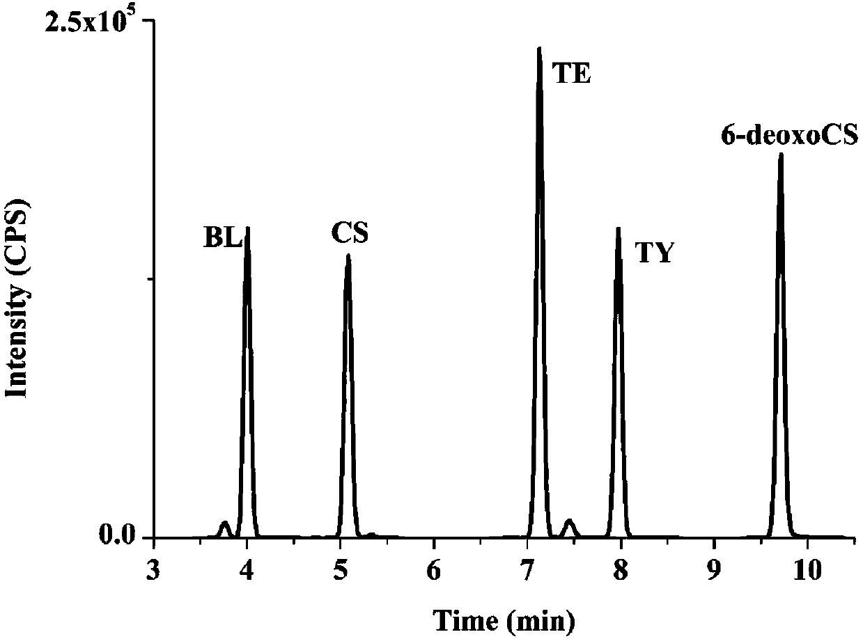 Purification method of plant endogenous brassinolide based on boron affinity solid phase extraction