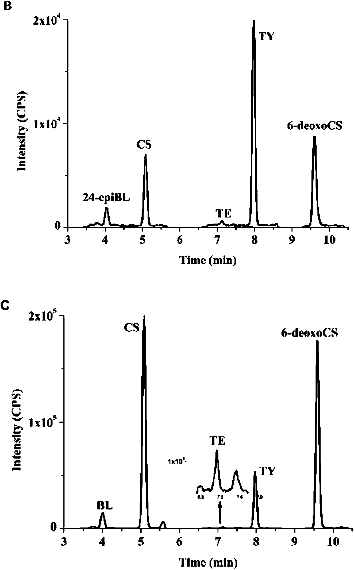 Purification method of plant endogenous brassinolide based on boron affinity solid phase extraction