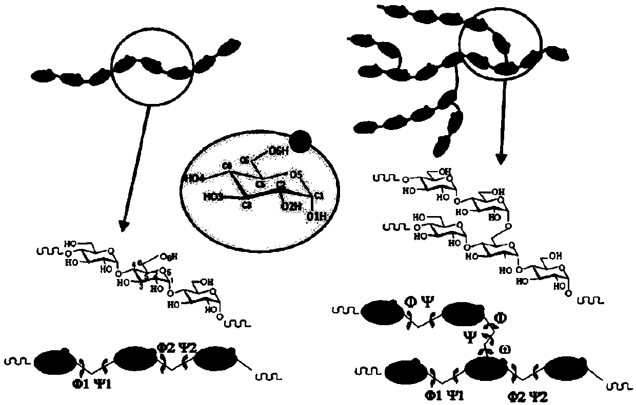 Method for preparing starch octenyl succinate and application of starch octenyl succinate