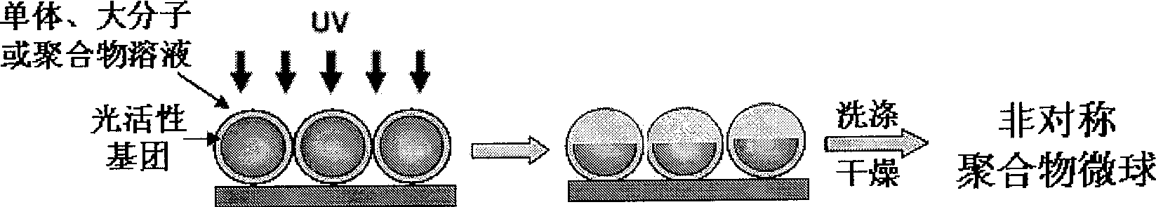 Method for preparing asymmetric polymer microsphere by using optically active polymer microsphere in UV light field