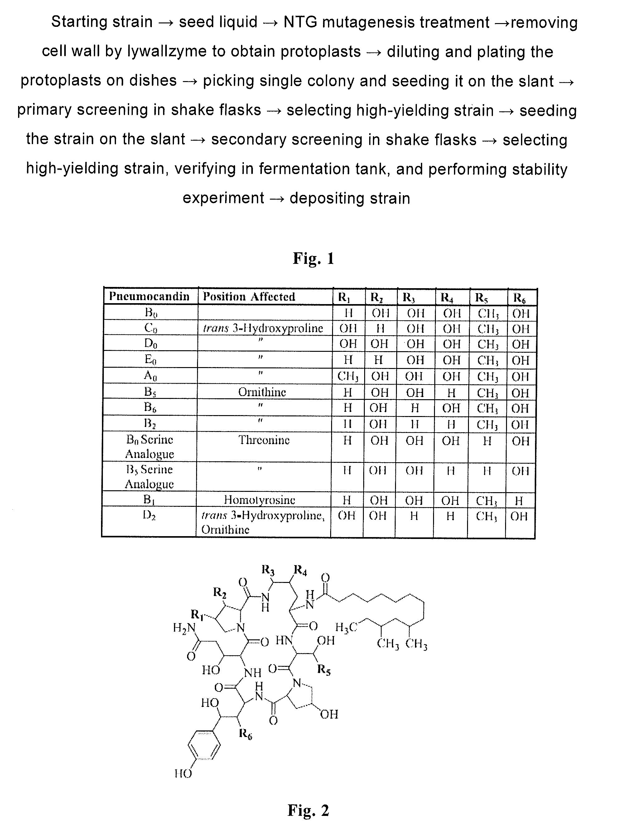 High yield antibiotics producing fungus strain, preparation method and use thereof