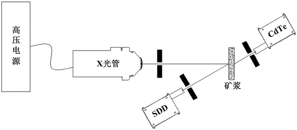 On-line analysis method for mineral in ore pulp