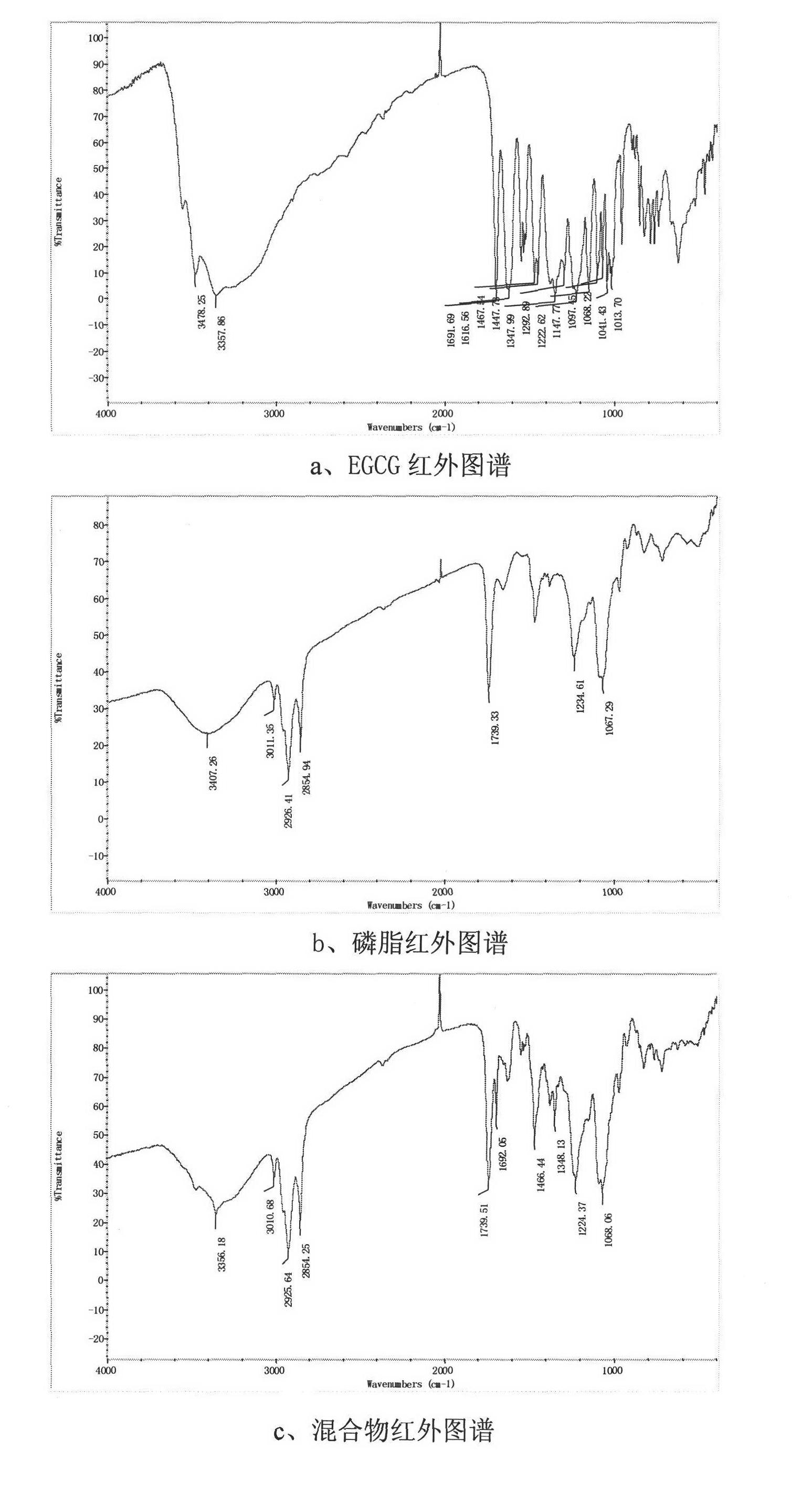 Preparation method for EGCC phosphatide compound