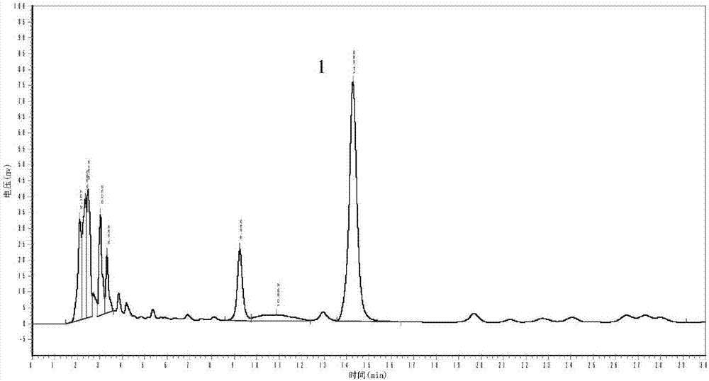 Fagopyrin in fagopyrum dibotrys and method for measuring content of fagopyrin