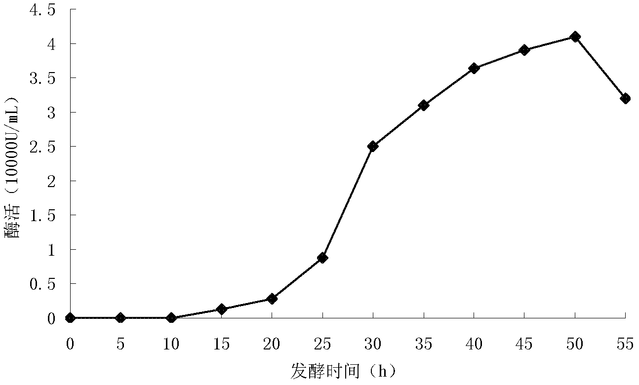 Method for producing alkaline protease