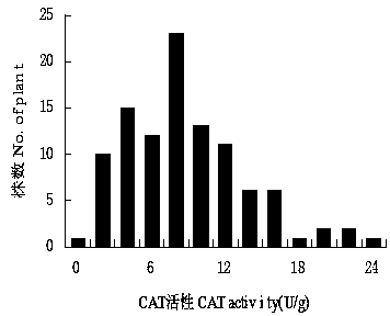 Molecular Marker and QTL Mapping of Cat Enzyme in Strong Winter Brassica napus