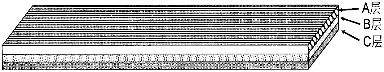 Self-curling membrane agent applied to nerve repair and preparation method thereof