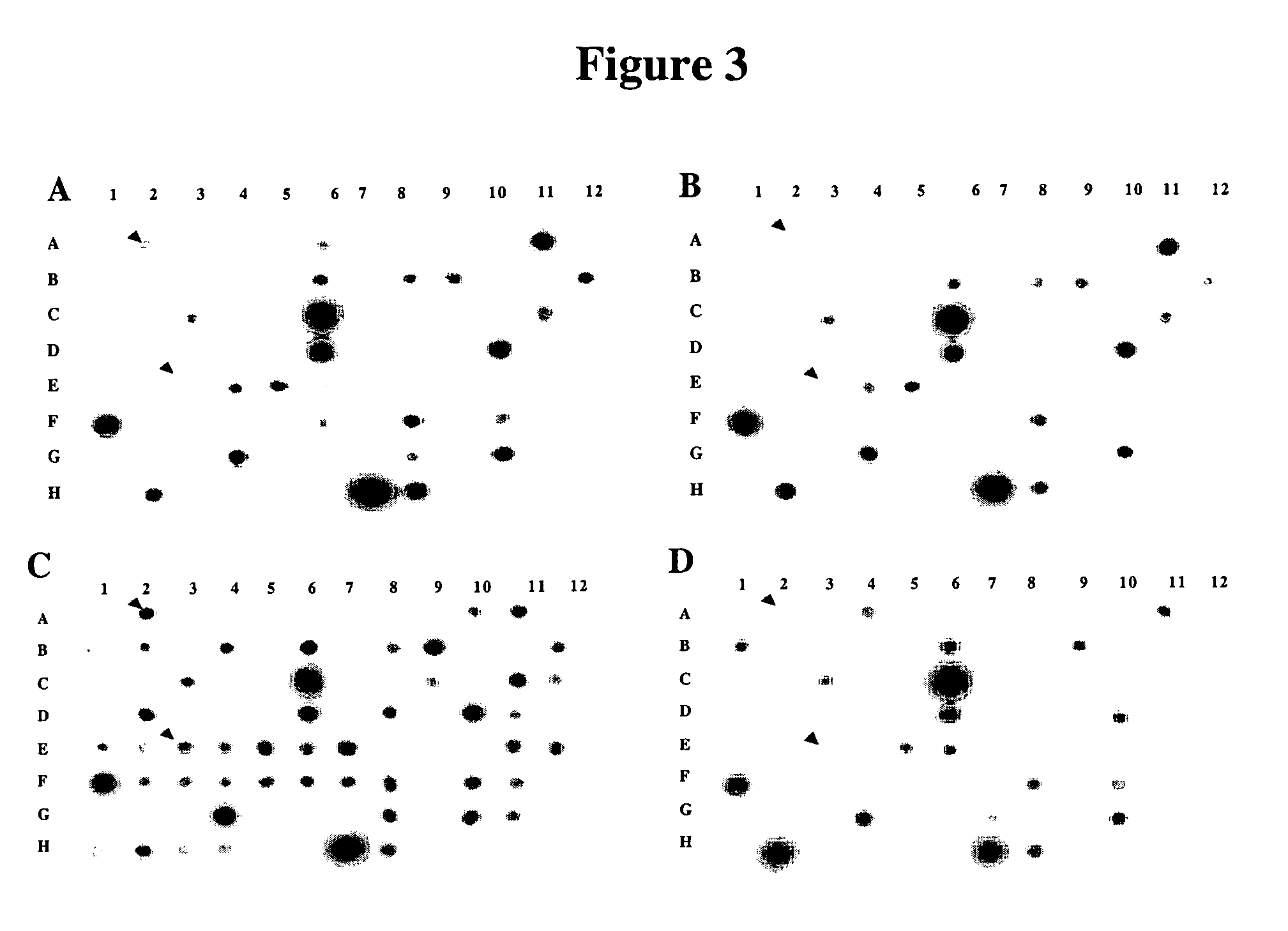 Cellular genes regulated by HIV-1 infection and methods of use thereof