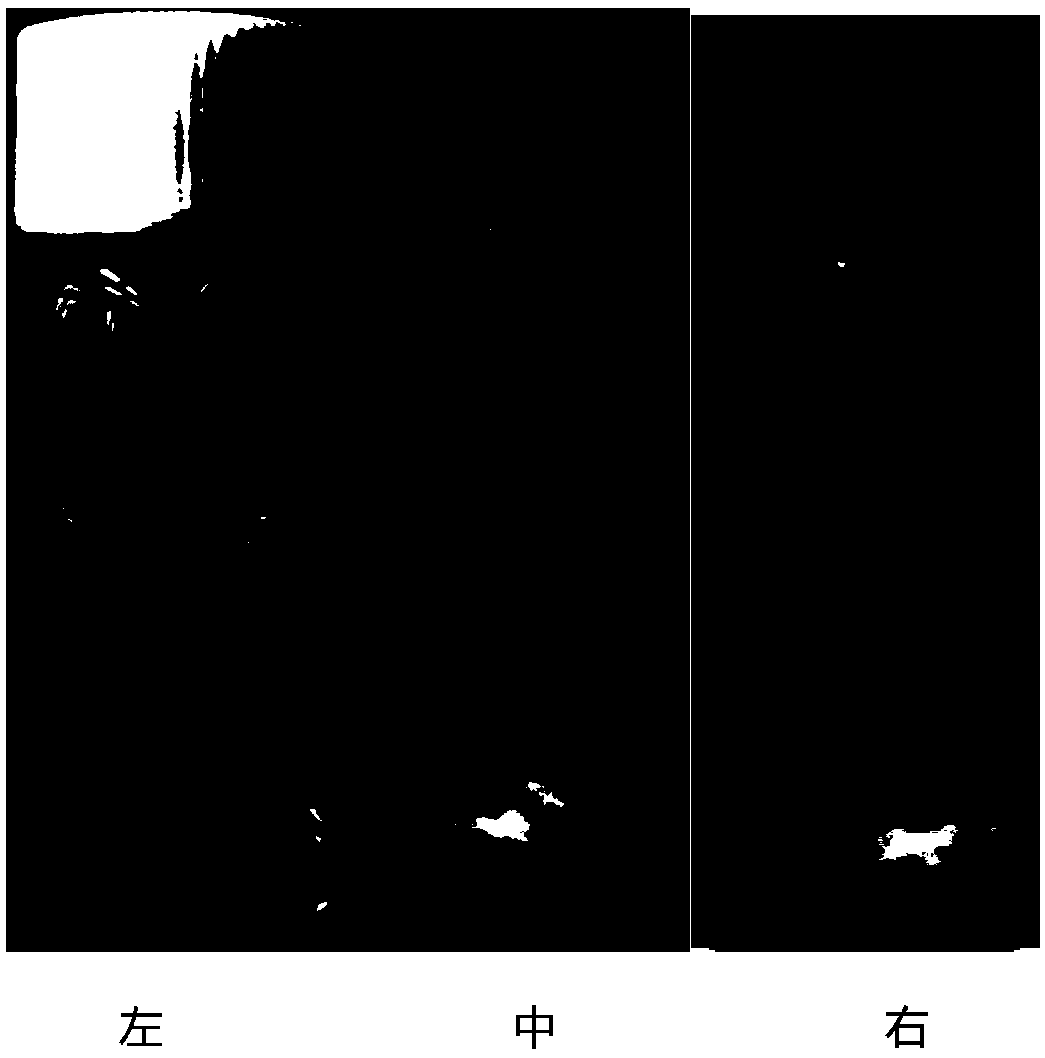 Method for removing elemental mercury in mercury-containing gas by washing through ultra-fine nano sulfur solution