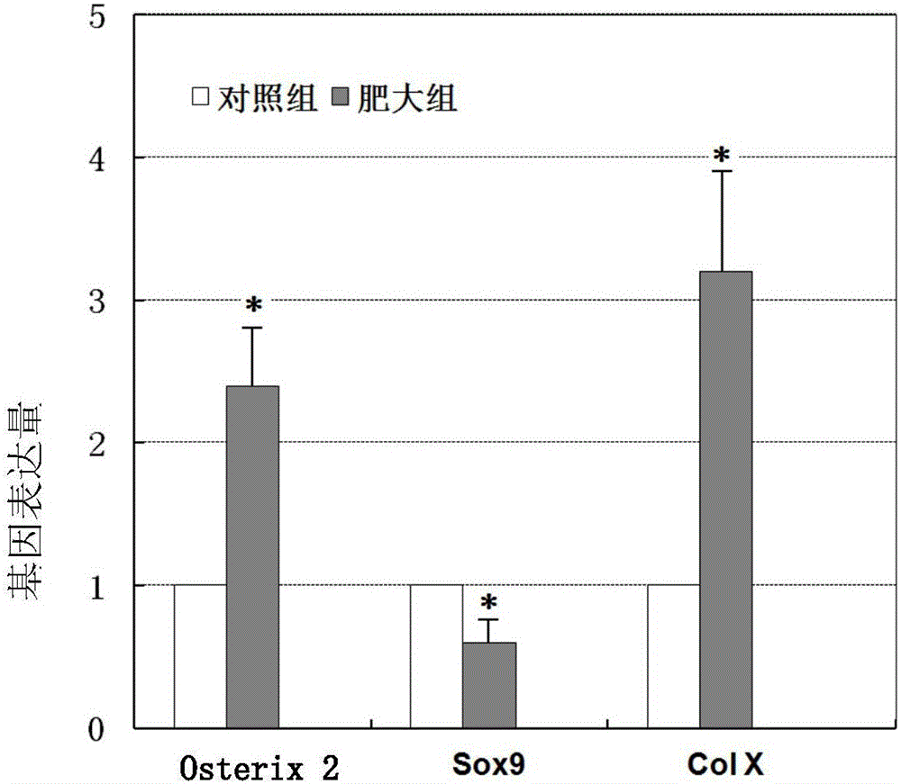 Tissue engineered bone based on endochondral osteogenesis system and its construction method