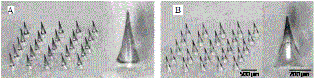 Bubble-type microneedle and preparation method therefor