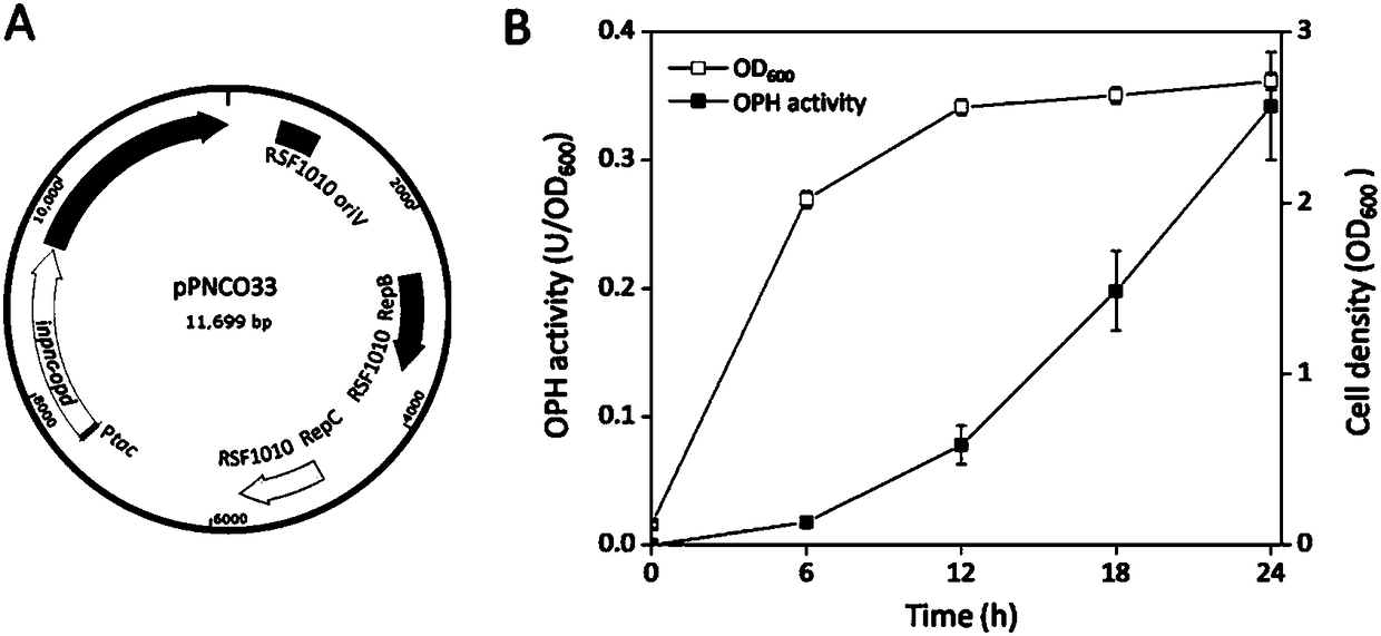 Method for detecting organophosphorus pesticide by flora-based sensing system