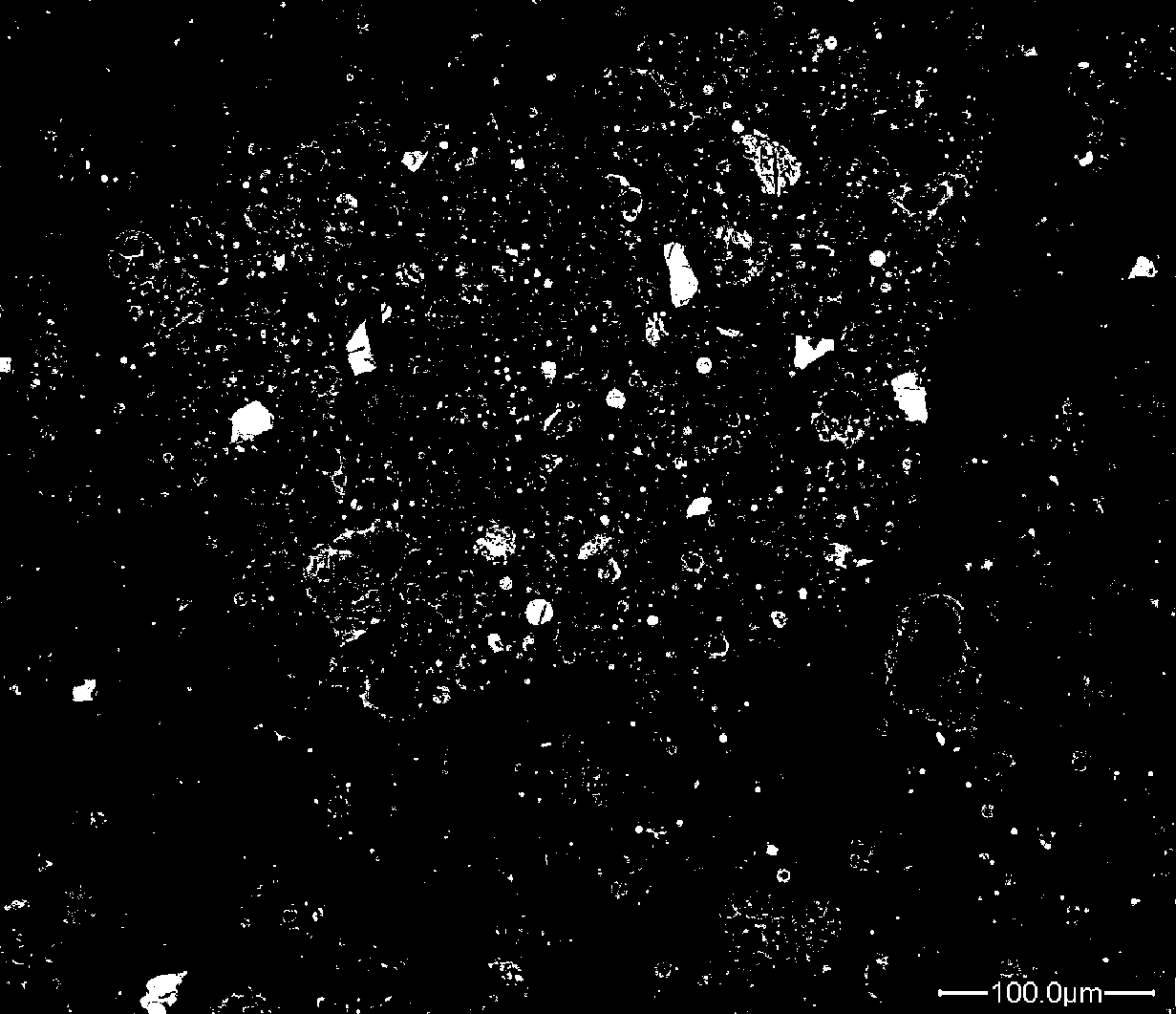 Sample preparation method for inorganic nonmetal powder material for backscattered electron image and energy spectrum study