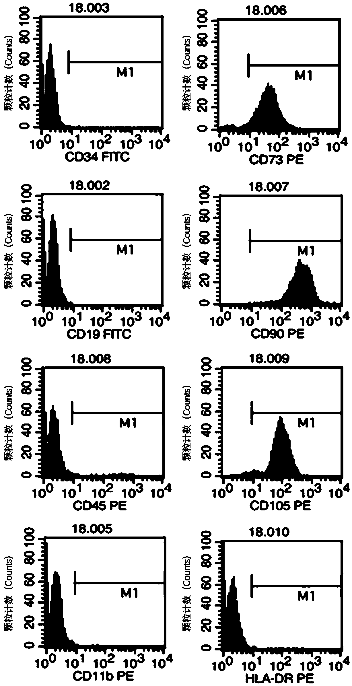 Mesenchymal stem cell for inhibiting tumor growth and preparation method and application