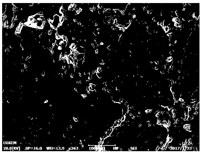 Geological carbon dioxide storage evaluating method