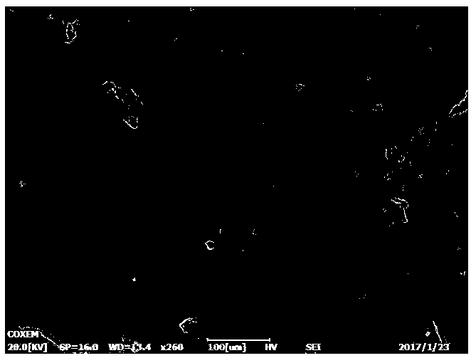 Geological carbon dioxide storage evaluating method