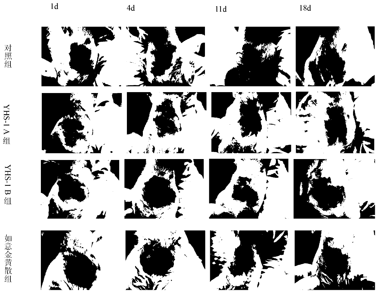 Traditional Chinese medicine composition for preventing and treating chemotherapeutic extravasation injury and preparation method and application thereof