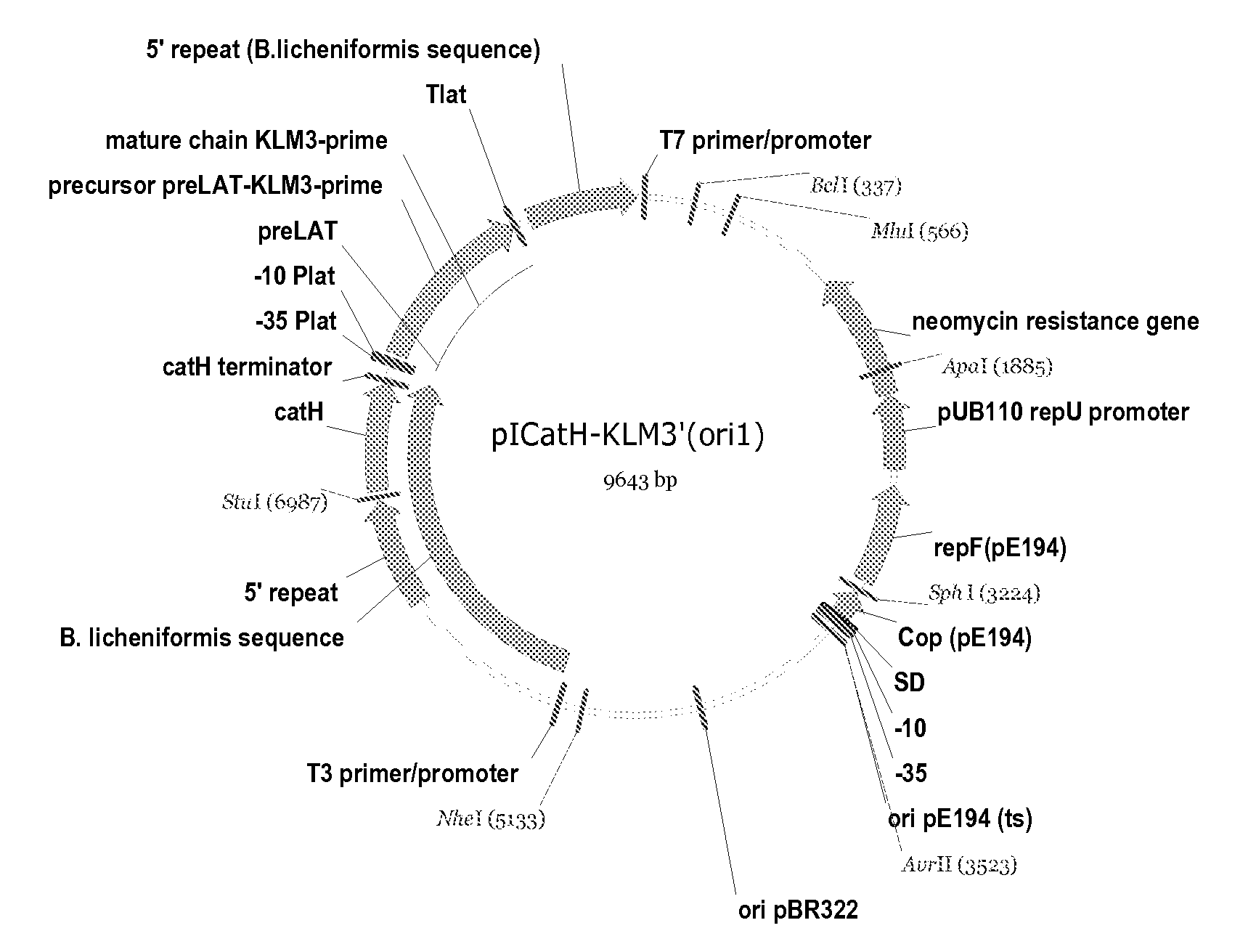 Variant polypeptides and methods of making