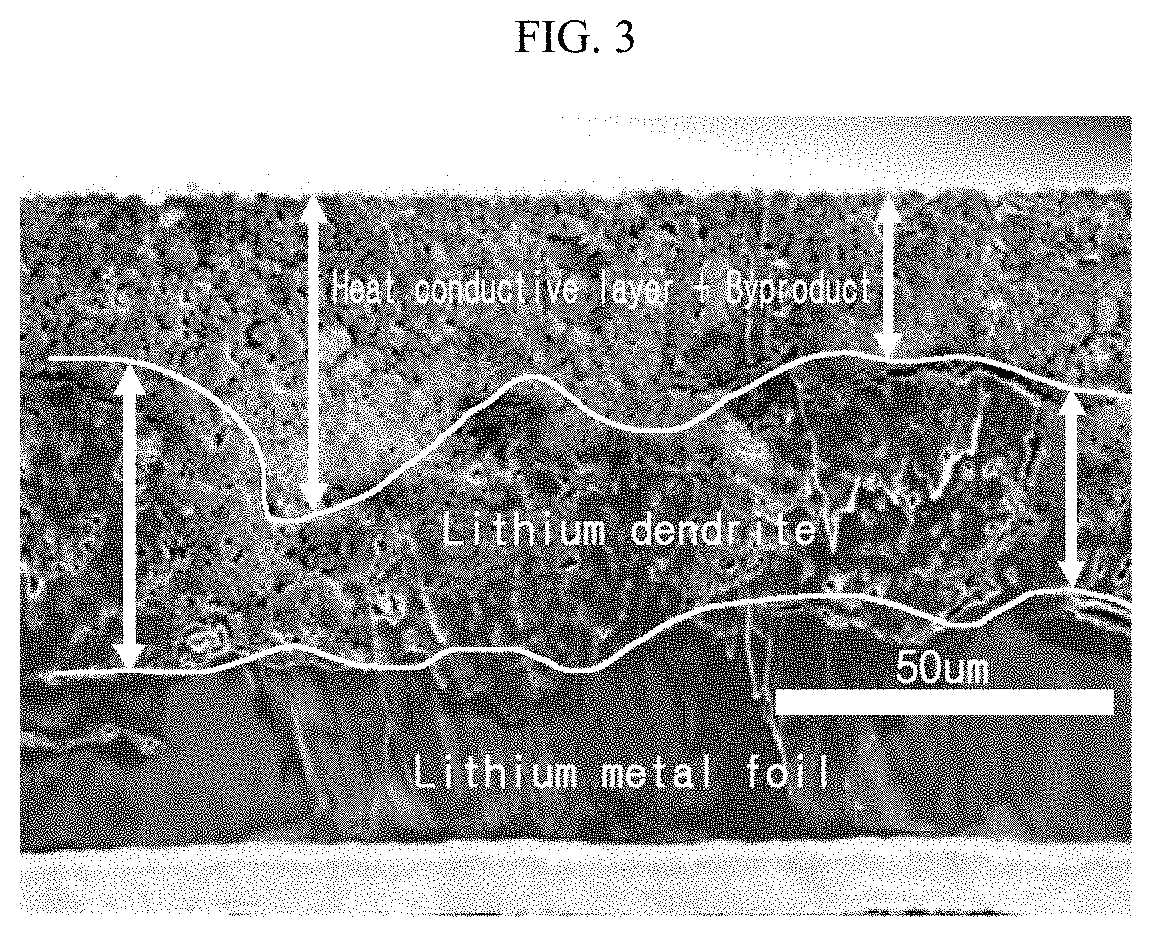 Anode for lithium metal battery, and electrochemical device comprising same