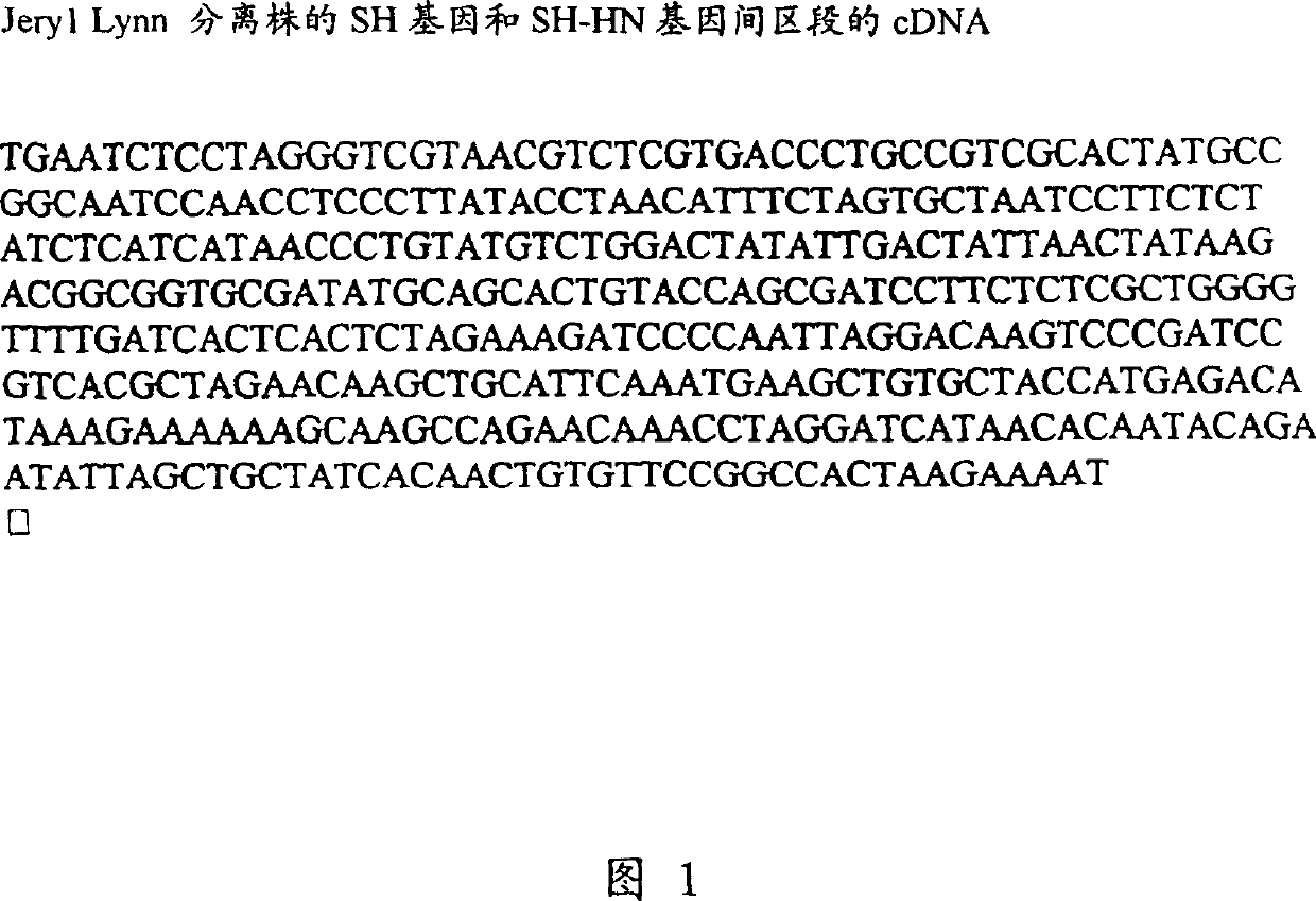 Vaccine against mumps containing a JERYL-LYNN virus strain