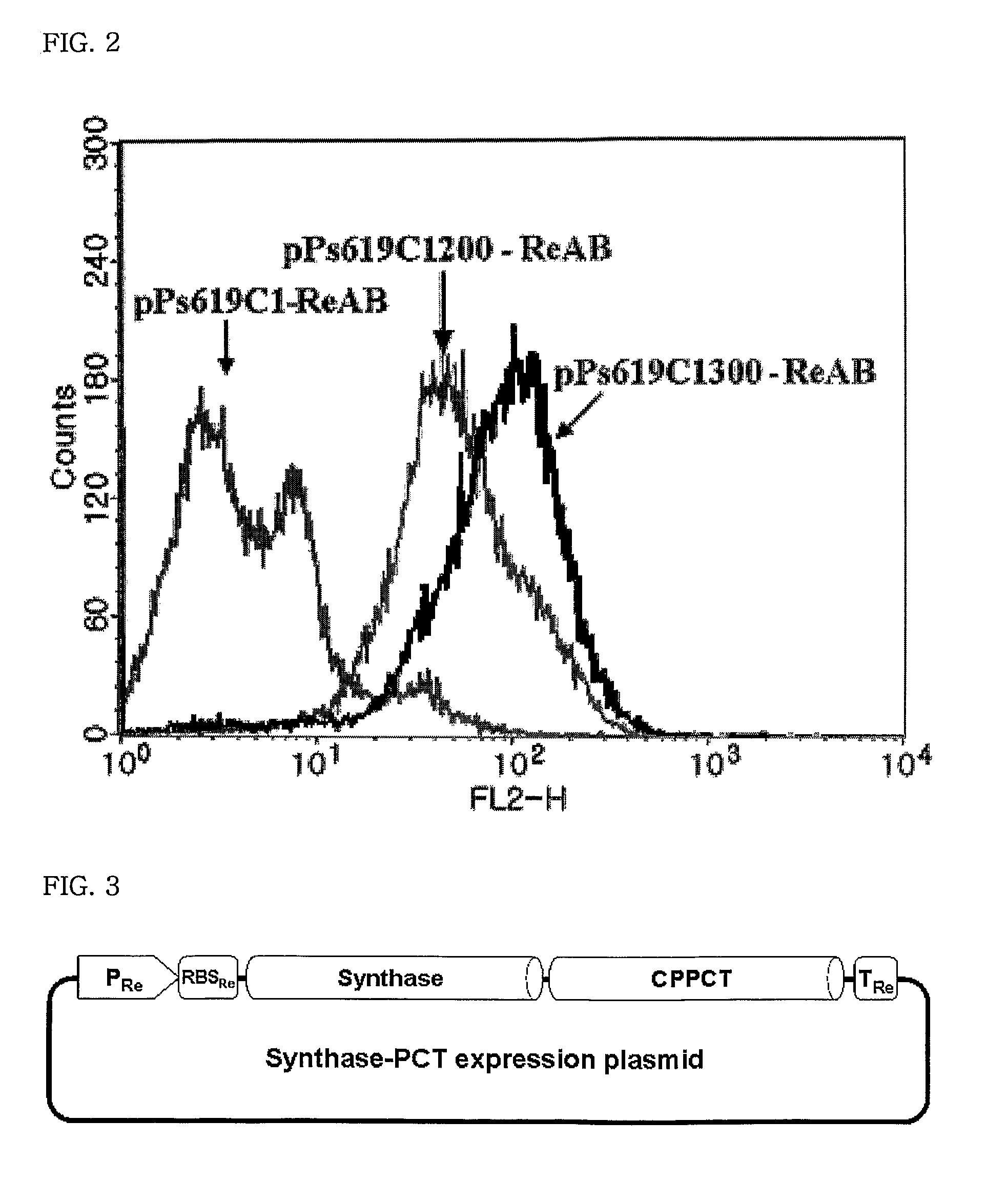 Mutants of PHA synthase from Pseudomonas sp. 6-19 and method for preparing lactate homopolymer or copolymer using the same