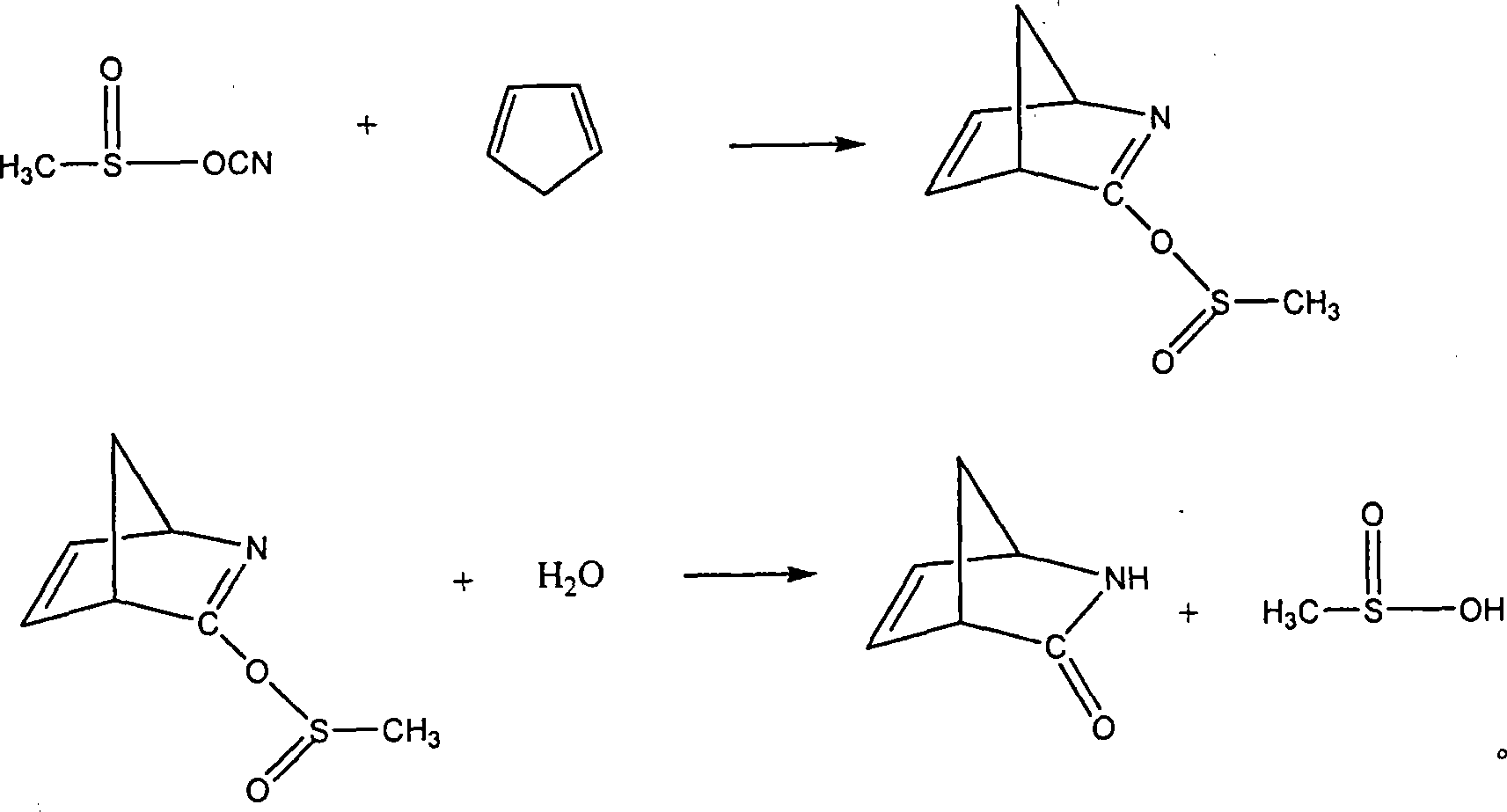 Method for preparing 2-azabicyclo[2.2.1]heptyl-5-ene-3-one