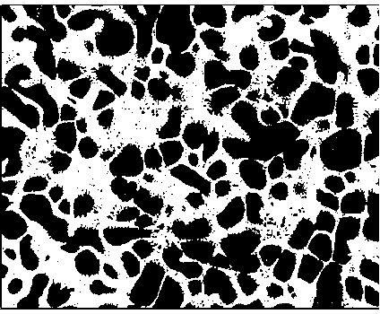 Method for quantitatively analyzing solid phase dispersion distribution in semi-solid slurry tissue