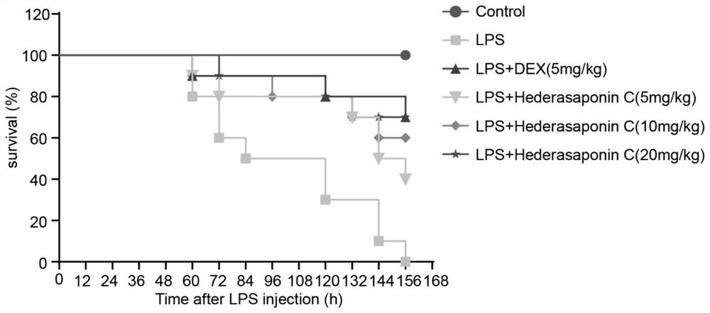 Application of Hedraaponin C in preparation of medicine for treating and preventing acute lung injury