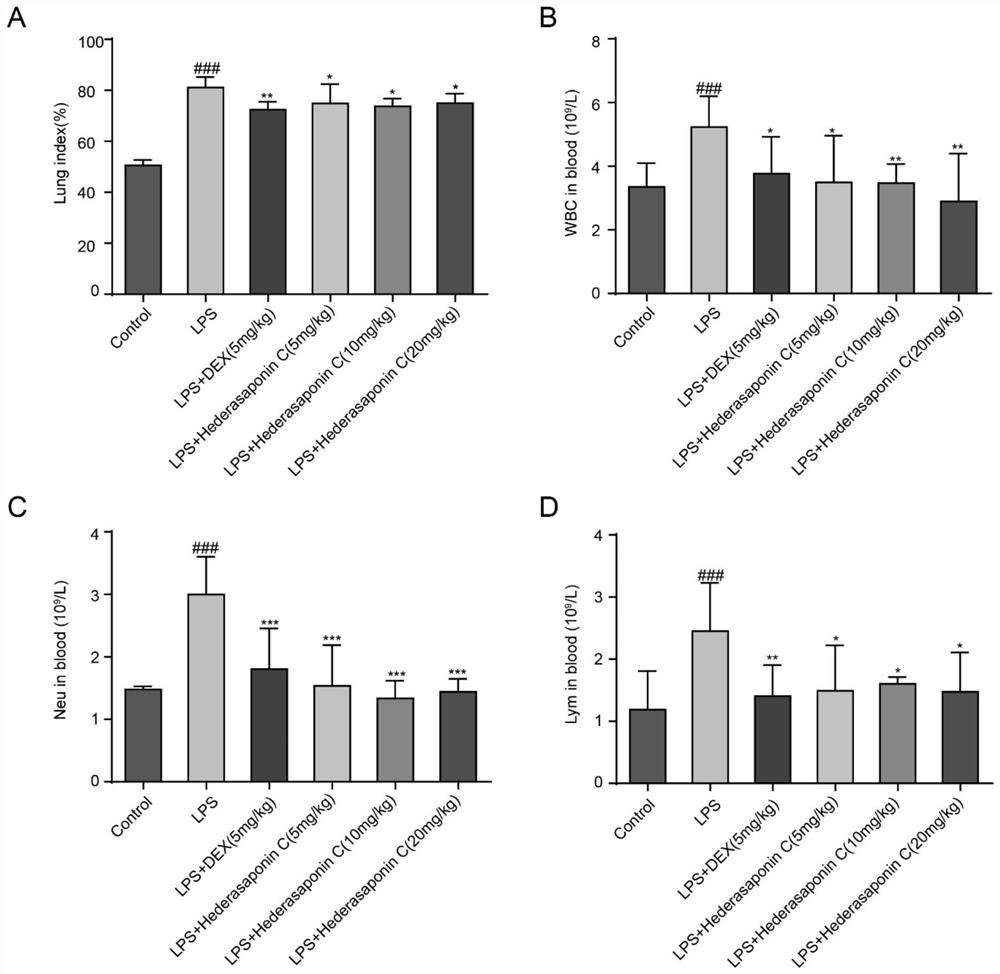 Application of Hedraaponin C in preparation of medicine for treating and preventing acute lung injury