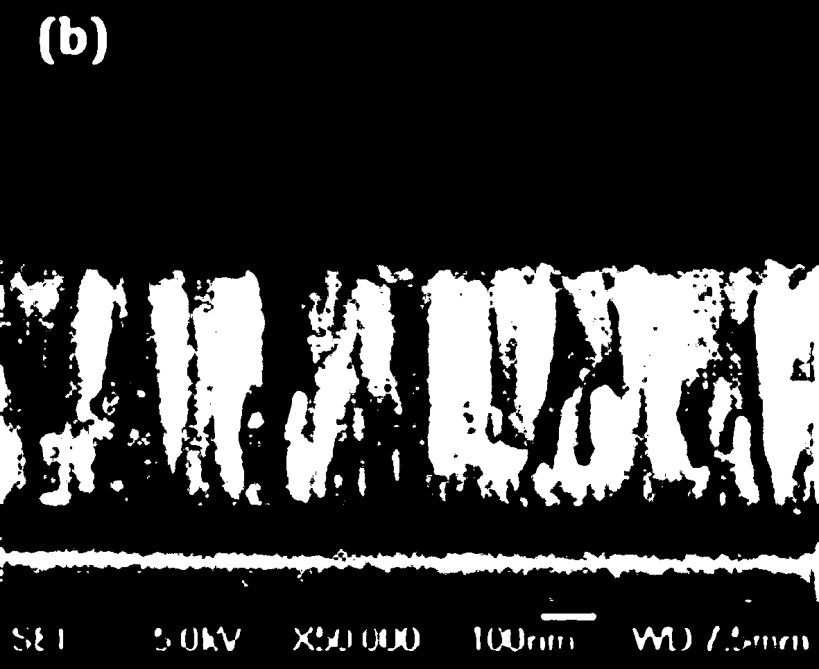 Preparation method of manganese-doped titanium dioxide film for strengthening photoelectric response of visible light