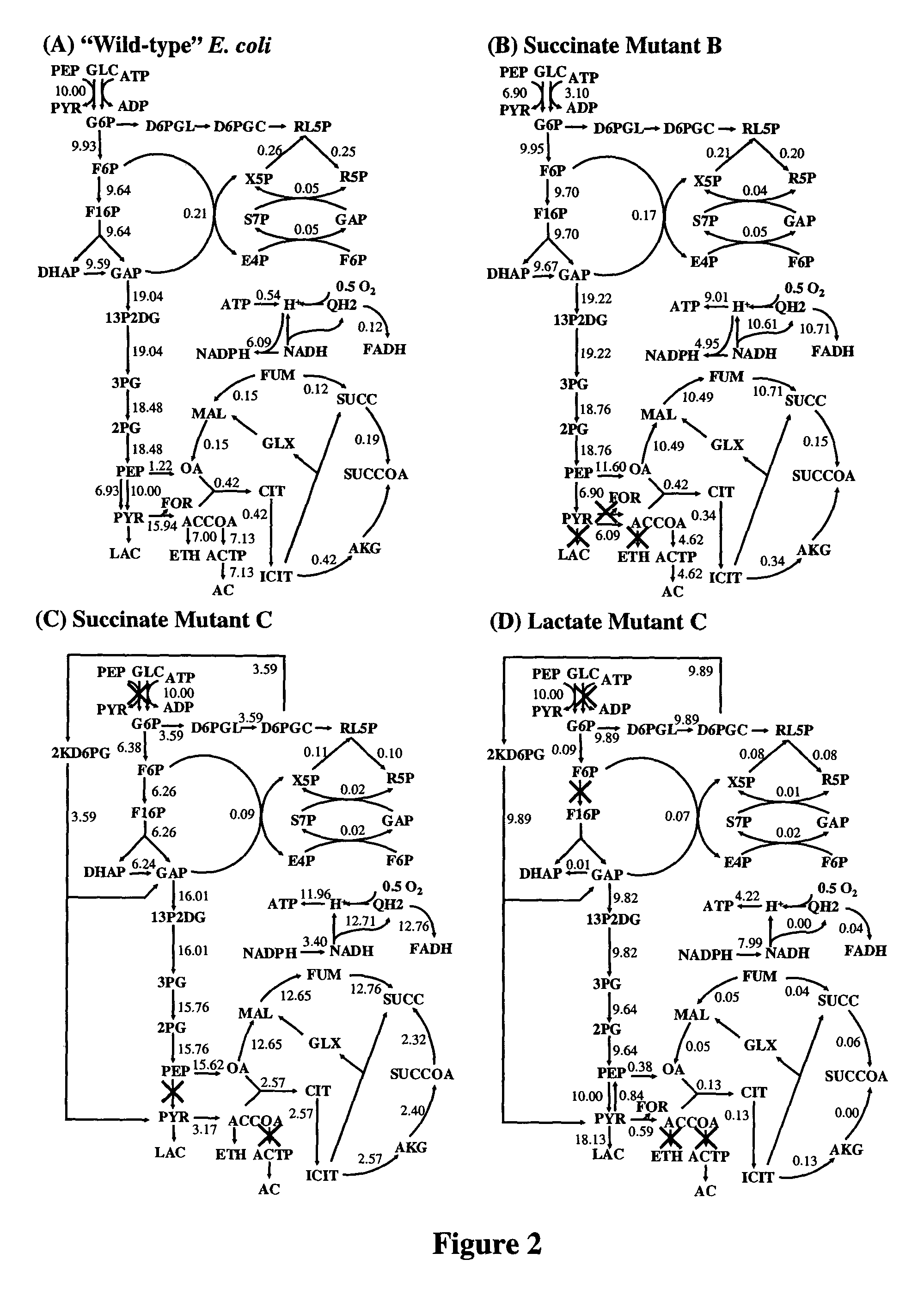 Method for determining gene knockouts