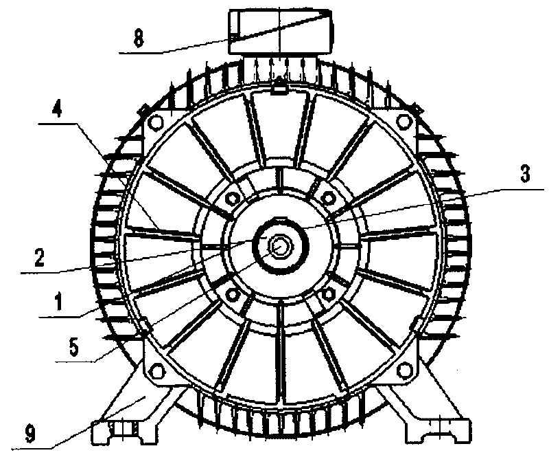 Low-voltage high power multi-branch three phase asynchronous motor