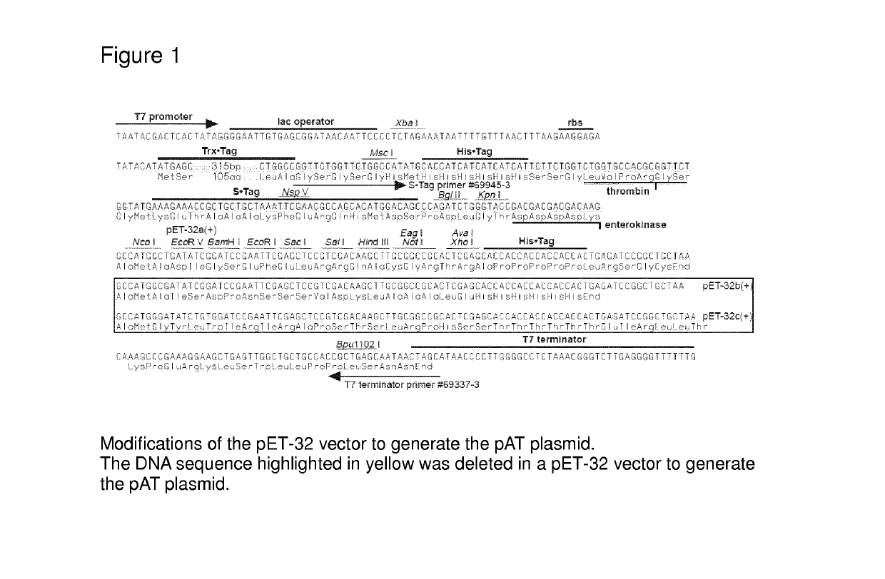 Methods of treatment using recombinant oxalate oxidase