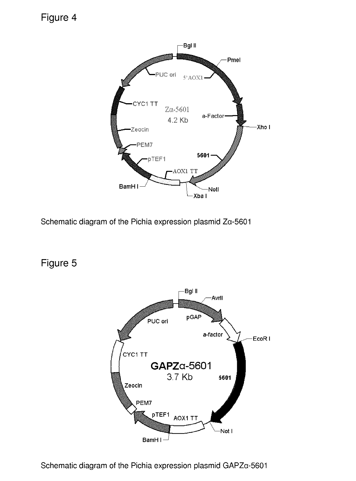 Methods of treatment using recombinant oxalate oxidase