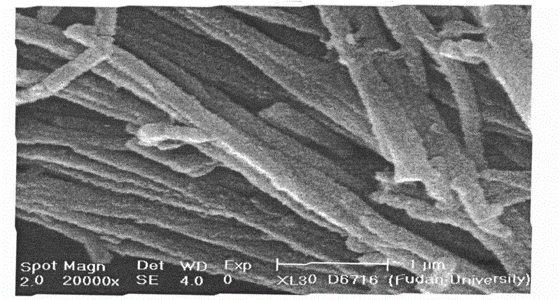 Preparing method for molybdenum oxide - polyaniline composite nanowire and nanotube