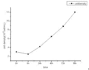 The method of ibdv serum-free microcarrier suspension culture proliferation